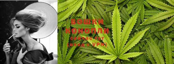 сатива Магадан