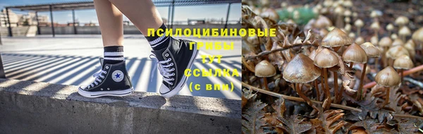 сатива Магадан