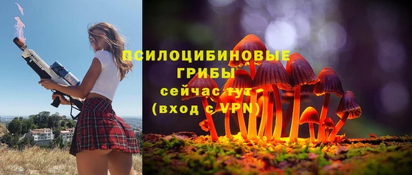 не бодяженный Магас