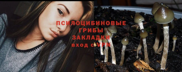 не бодяженный Магас